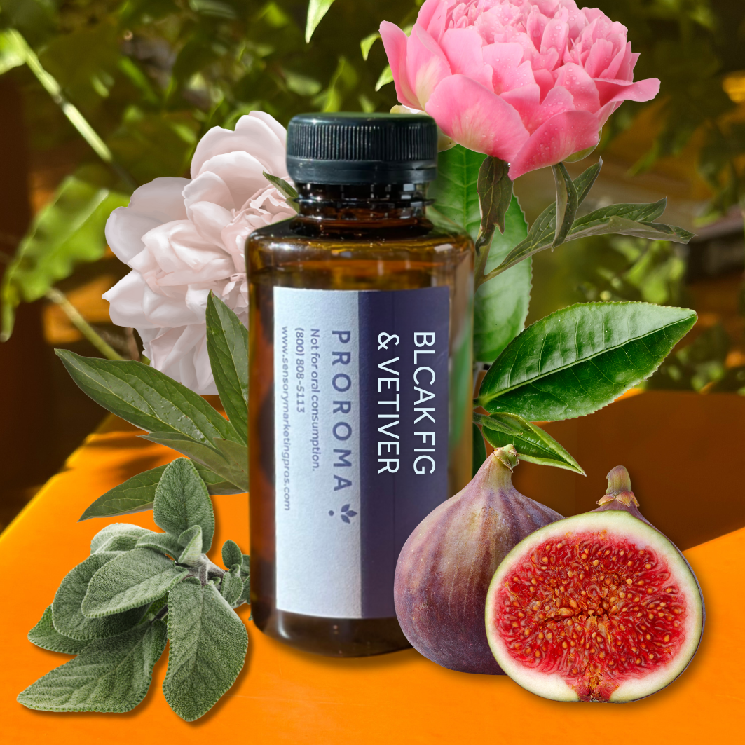 Black Fig & Vetiver Fragrance Oil