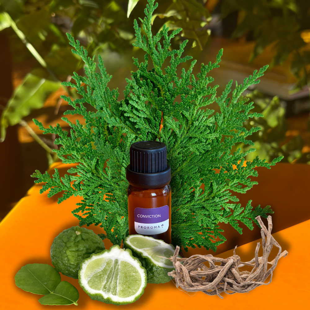 Conviction Fragrance Oil