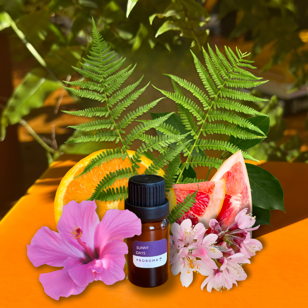 Sunny Days Fragrance Oil