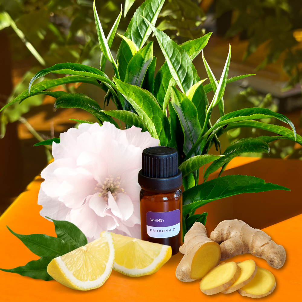 Whimsy Fragrance Oil