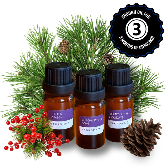 Christmas Collection Fragrance Oils
