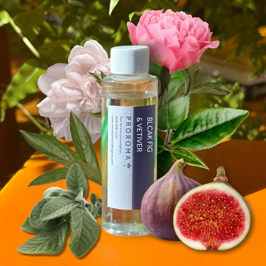 Black Fig & Vetiver Fragrance Oil