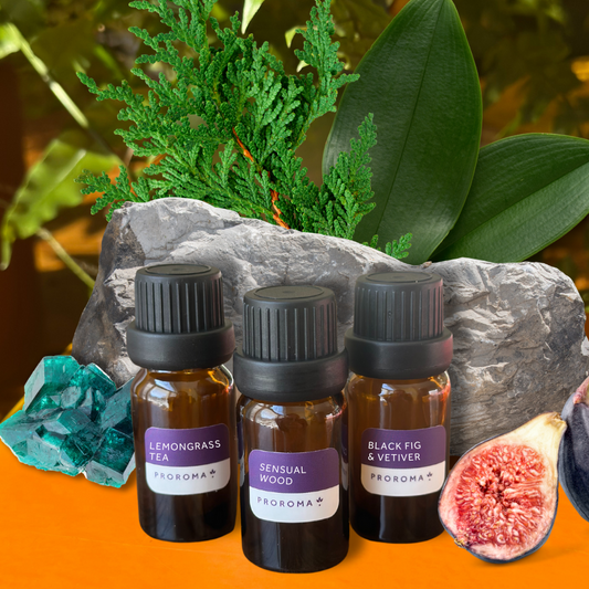 Scent Sample Kit - Boutique Collection