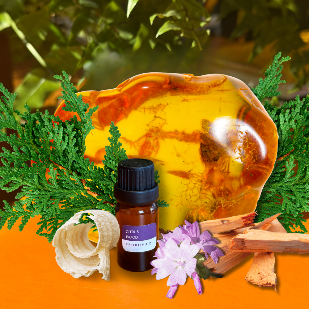 Citrus Wood Fragrance Oil