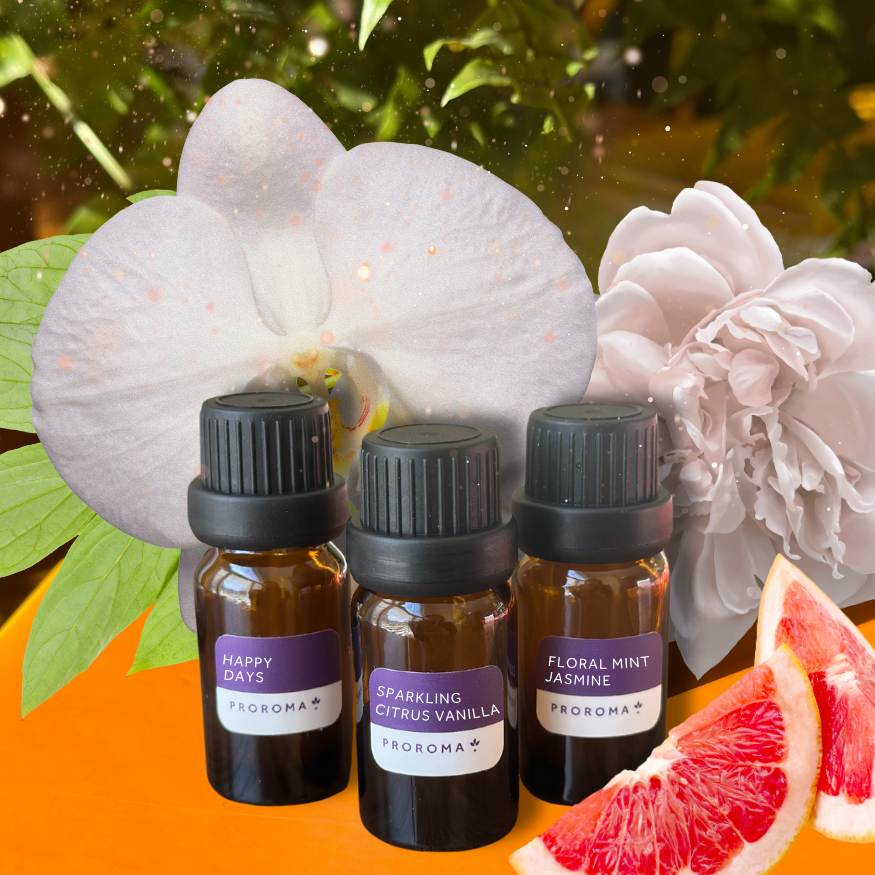 VENUE SPECIAL: ProRoma Diffuser & Getaway Collection