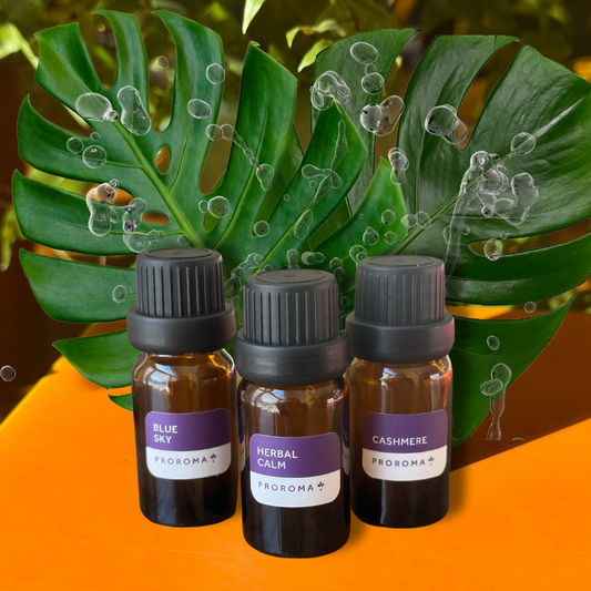 Scent Sample Kit - Getaway Collection