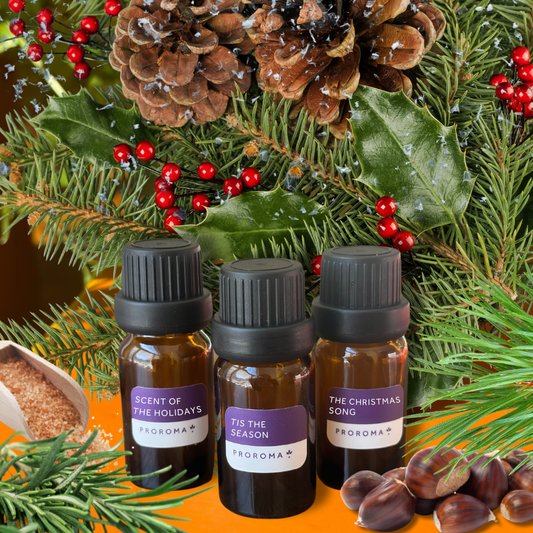 Scent Sample Kit - Holiday Collection