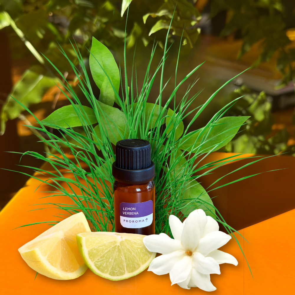 Lemon Verbena Fragrance Oil