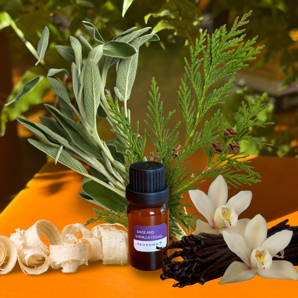 Sage & Vanilla Cedar Fragrance Oil