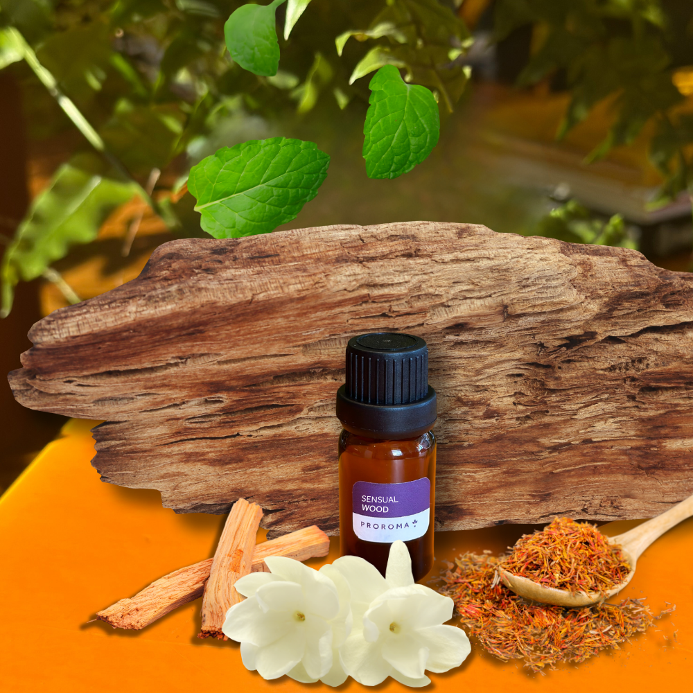 Sensual Wood Fragrance Oil