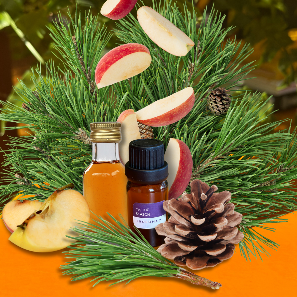 Tis the Season Fragrance Oil