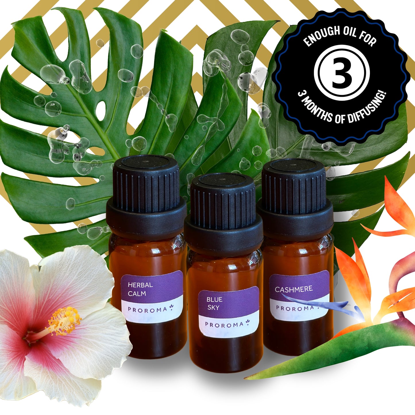 Getaway Collection Fragrance Oils